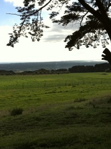 The distant curving bay