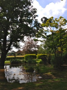 'she wandered through the Gardens with Caleb... Hedges rose around them like a maze and every corner revealed something new...'