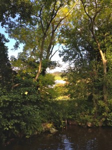 You might have to zoom in a little...