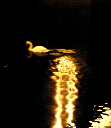 birds-se-ilkley-2015-uffington-avebury-hackpen-worcester-3