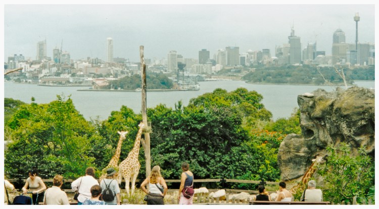 taronga-2
